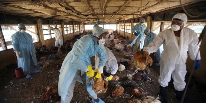 Antisipasi Virus Flu Burung, Pemkab Garut Terapkan Biosekuriti