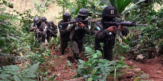 Polisi Militer Honduras Menembus Hutan Temukan 88 Hektar Perkebunan Penghasil Kokain