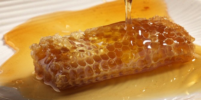 Manfaat Propolis pada Lebah, Bantu Penyembuhan Luka hingga Pengobatan Herpes