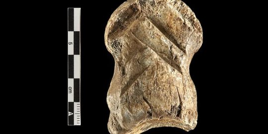 Pahatan Tulang Berusia 51.000 Tahun Ini Jadi Bukti Manusia Neanderthal adalah Seniman