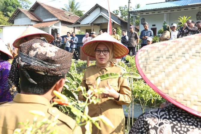 bank indonesia gelar gerakan nasional pengendalian inflasi pangan di banyuwangi