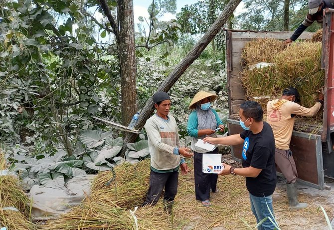 bri salurkan bantuan bagi warga terdampak erupsi gunung merapi