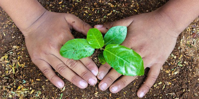 Kampanye Cinta Lingkungan ala Pemkab Banyuwangi, Pengantin Wajib Sumbang Bibit Pohon
