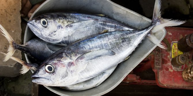 Manfaat Ikan Kembung untuk Anak, Bantu Perkuat Tulang dan Gigi