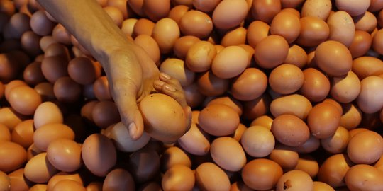 BPN Imbau Pedagang Tak Terlalu Murah Jual Telur Ayam: Supaya Peternak Tak Tertekan