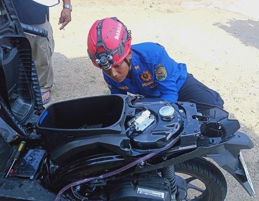 tim wisanggeni satria biru satpol ppk trenggalek mengevakuasi ular