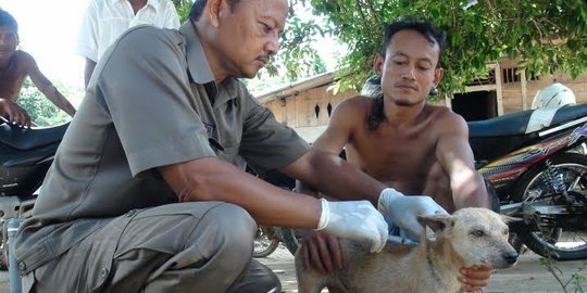 Lagi Main dan Selesai BAB, Tiga Anak di NTB Digigit Anjing Rabies