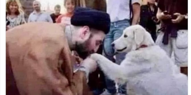 Foto Pria Cium Kaki Anjing yang Selamatkan Korban Gempa Turki Hasil Editan