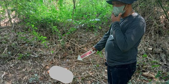 Potongan Tubuh Lain Diduga Korban Mutilasi di Bogor Ditemukan sedang Dimakan Biawak