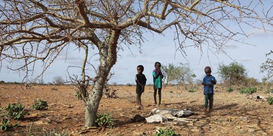Mengapa Negara Termiskin di Dunia Didominasi dari Afrika?