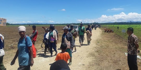 Tak Sabar Bertemu Jokowi, Warga Distrik Mannem Papua Kumpul di Food Estate Sejak Pagi