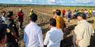 Jokowi Tinjau Food Estate di Keerom Papua