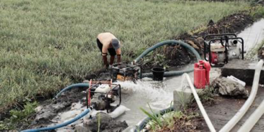 Petani Lampung Selatan Dapat Bantuan Irigasi Perpompaan