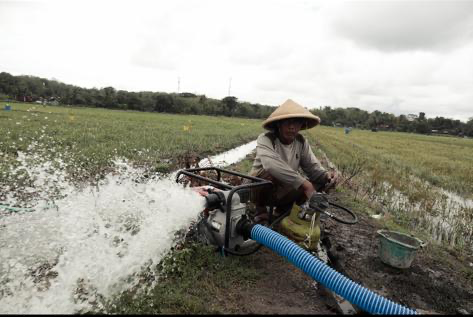petani lampung selatan dapat bantuan irigasi perpompaan