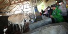 Kelompok Tani di Banyuwangi Mampu Produksi 1 Ton Pupuk Organik