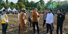 Jokowi Target Panen Jagung di Keerom Lima Ton Per Hektare