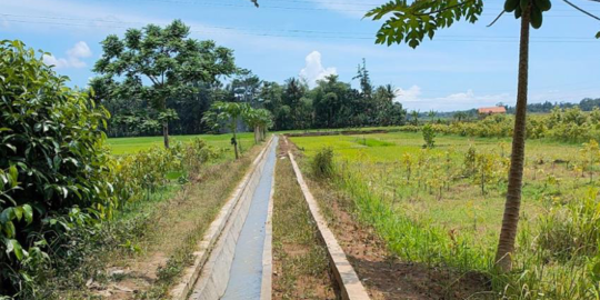 Kementan Penuhi Kebutuhan Sarana Pengairan di Kertawinangun lewat RJIT