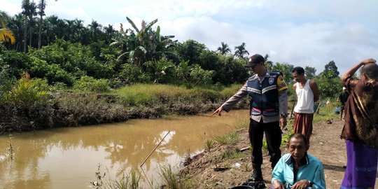 Aksi Heroik Lansia Lepaskan Gigitan Buaya Muara Saat Hendak Mandi di Sungai Jambi