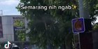 Intip Potret Jalan Menuju Lampu Merah di Semarang Dipasangi Blower, Saking Panasnya