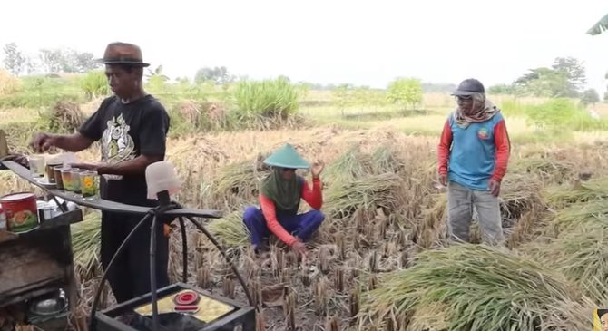 unik penjual kopi amp gorengan di tengah sawah di bayarnya pakai hasil pertanian