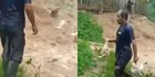 Jeritan Warga Cianjur Lihat Ratusan Ayam Ternak Siap Panen Tersapu Banjir Bandang