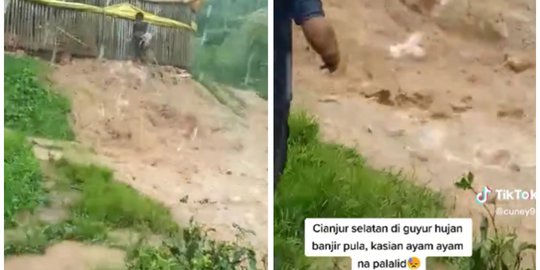 Pasrah, Peternak di Cianjur Histeris Lihat Ribuan Ayamnya Terbawa Arus Banjir