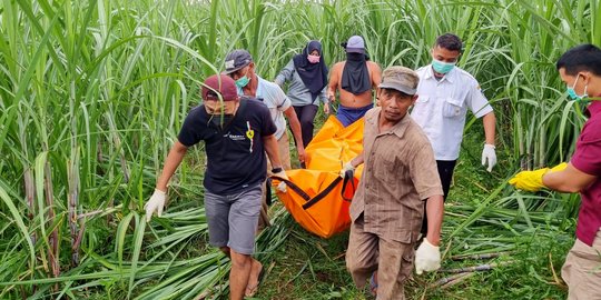 Perempuan Ditemukan Tewas Bersama Bayi Baru Dilahirkan di Kebun Tebu Kediri