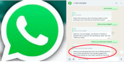 Cara Menggunakan Personal Assistant seperti ChatGPT di WhatsApp, Ini Langkahnya