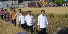 Sulawesi Selatan Surplus Beras, Jokowi: Segera Distribusikan Ke Wilayah Lain