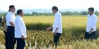 Petani Keluhkan Kelangkaan Pupuk, Jokowi Perintahkan Mentan Cari Solusi