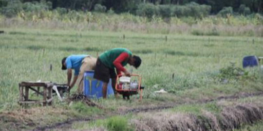 Kementan Genjot Produksi Padi Maros Melalui Intervensi Mekanisasi