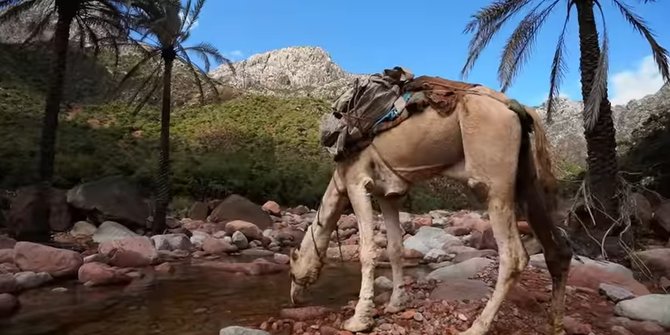 Potret Indah Pulau Socotra di Yaman, Disebut Sebagai Lokasi Persembunyian Dajjal