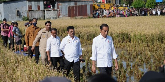 Tingkatkan Produksi, Kementan Siap Dampingi Petani Maros Akses KUR