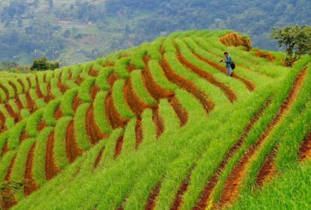 tempat wisata majalengka indah yang wajib dikunjungi