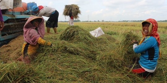 BPS Rillis Nilai Tukar Petan Maret Naik, Capai 110,85