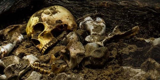 Kasus Pembunuhan Tertua di Dunia Terjadi 430.000 Tahun Lalu, Ini Buktinya