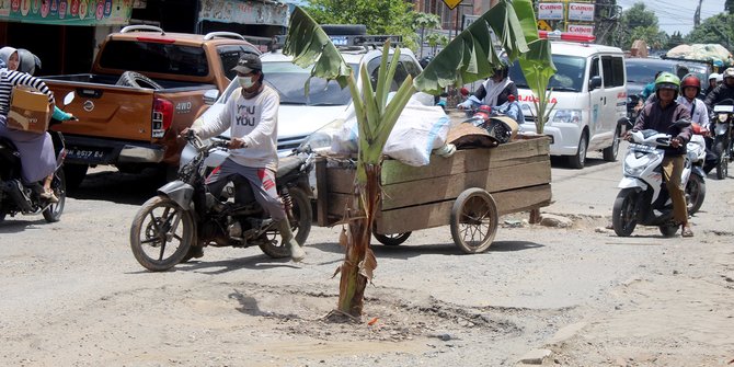 Protes Jalan Rusak, Warga Kota Jambi Ditanami Pohon Pisang