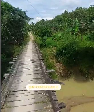 jembatan kayu berbahaya di grobogan