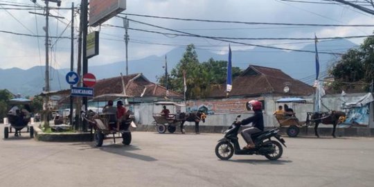 Delman di Garut Dilarang Beroperasi selama Musim Mudik, Begini Kata Bupati