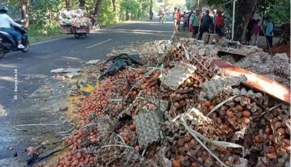 sopir truk ngantuk lima ton telur berhamburan di jalan trenggalek