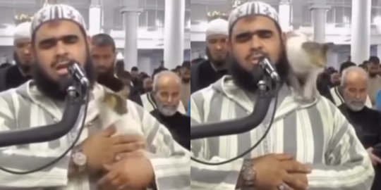 Viral Kucing Lompat ke Pundak Imam saat Salat, Pergi Setelah Cium Pipi