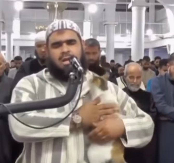 viral kucing lompat ke pundak imam saat salat pergi setelah cium pipi