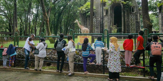 Libur Paskah, 802 Pengunjung Asyik Menikmati Liburan di Taman Margasatwa Ragunan