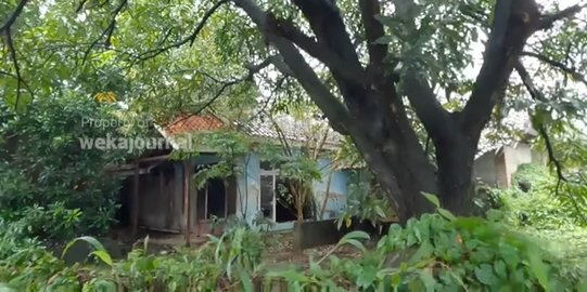 Nampak Usang Berdebu & Banyak Rumput Liar Ternyata Rumah Ini Dihuni Wanita Sendirian