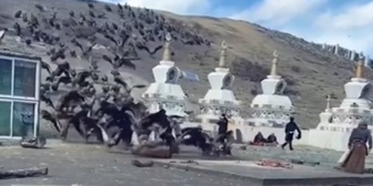 Begini Proses Pemakaman Langit di Tibet, Bikin Deg-degan Mirip Adegan Film