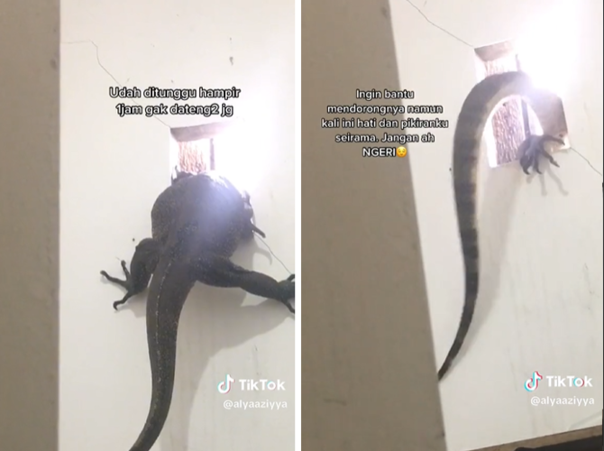 auto panik wanita ini dapati biawak besar masuk ke kamar mandi lewat ventilasi