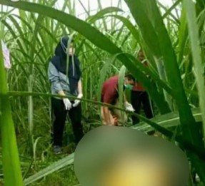 suami tega buang istri hamil besar ke kebun tebu kediri