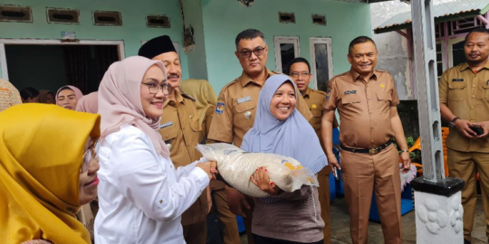 Kementan Pastikan Stok dan Harga Kebutuhan 12 Bahan Pokok di Bengkulu Aman