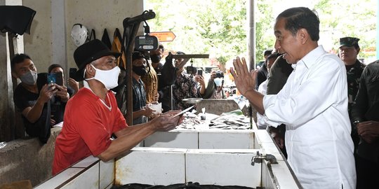 Jokowi Cek Harga Kebutuhan Pokok di Pasar Kelapa