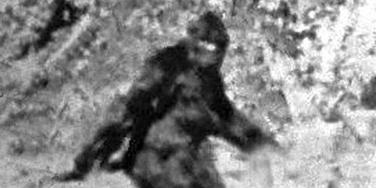 Ilmuwan Punya Penjelasan Paling Sederhana tentang Sosok Bigfoot